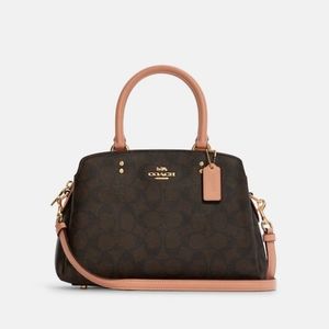 Mini Lillie Carryall In Signature Canvas